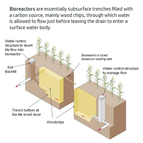 Conservation Drainage Management – Mid-atlantic 4r Nutrient Stewardship 