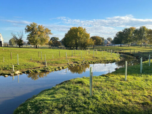 Gordonville Farm Buffer